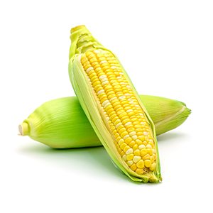 corn